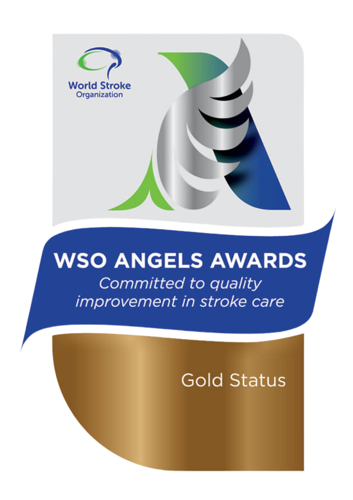 World Stroke Organisation (WSO) Angels Awards 2025